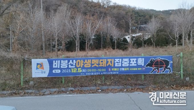 안성시가 멧돼지 포획을 위한 비봉산 탐방로 통제를 알리는 현수막을 게시하고 있다. <사진=안성시>