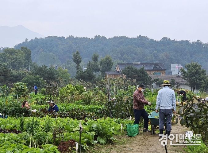 남양주시, 2024년 커뮤니티 가든 ‘도시 텃밭’ 전경. <사진=남양주시>