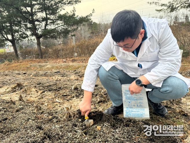 여주시 관계자가 토양채취를 하고 있다. <사진=여주시>