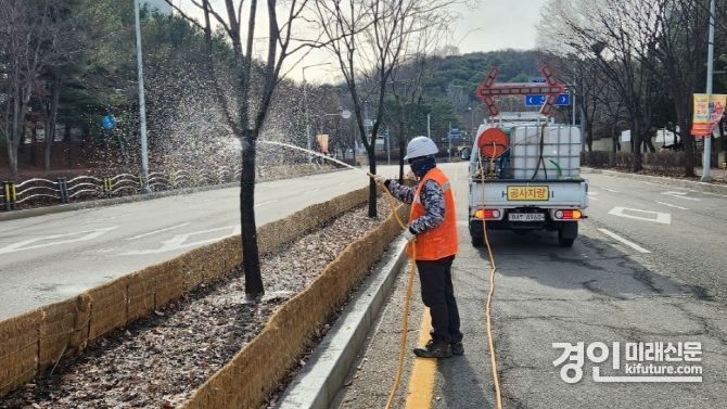 수원시 관계자가 가로수에 염분중화제를 뿌리고 있다. <사진=수원시>