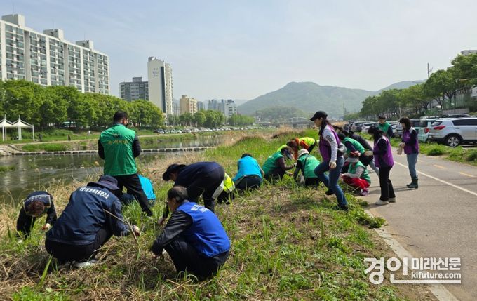 안양시가 생태계 교란식물 제거 작업을 실시하고 있다. <사진=안양시>