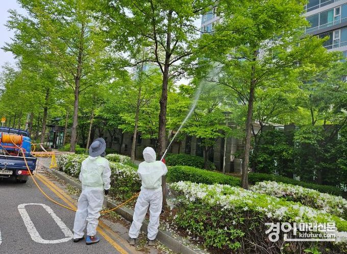 인천 연수구 관계자들이 송도국제도시 칠엽수 긴급 병해충 방제사업을 실시하고 있다. <사진=연수구>