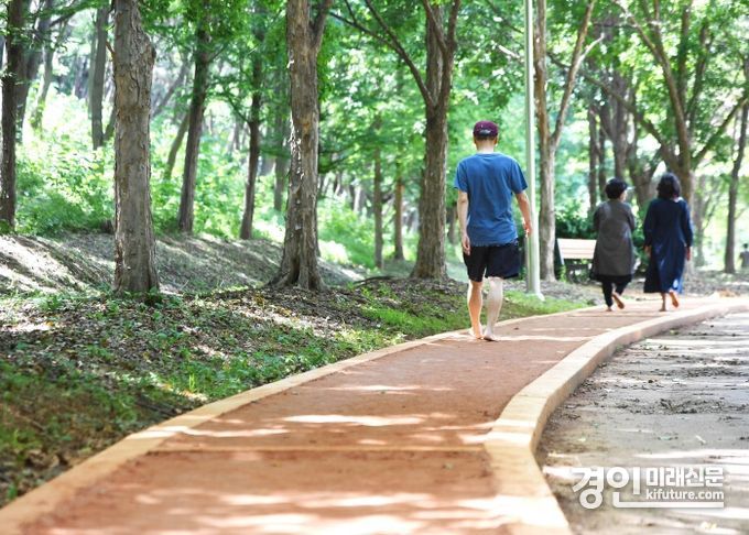 곰솔누리숲 황톳길 모습. <사진=시흥시>